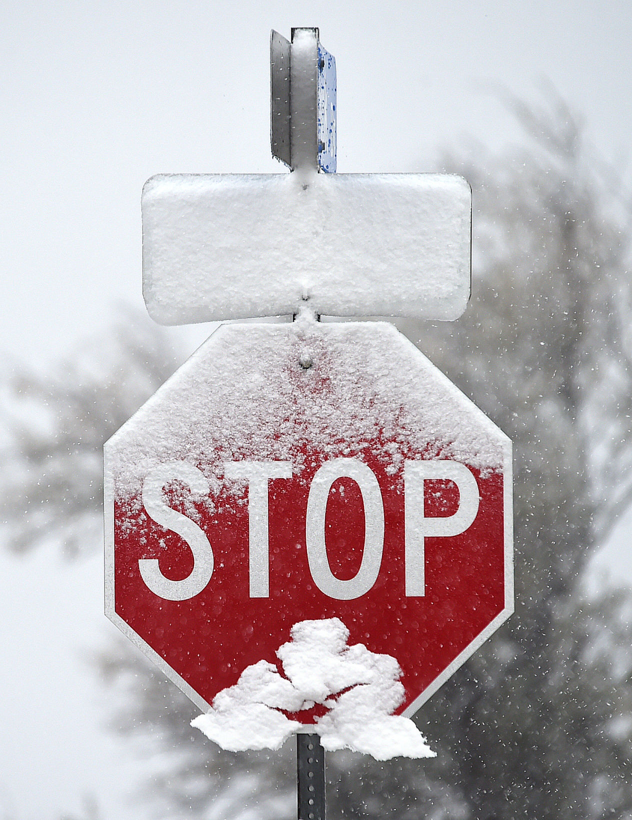 Snow scenes